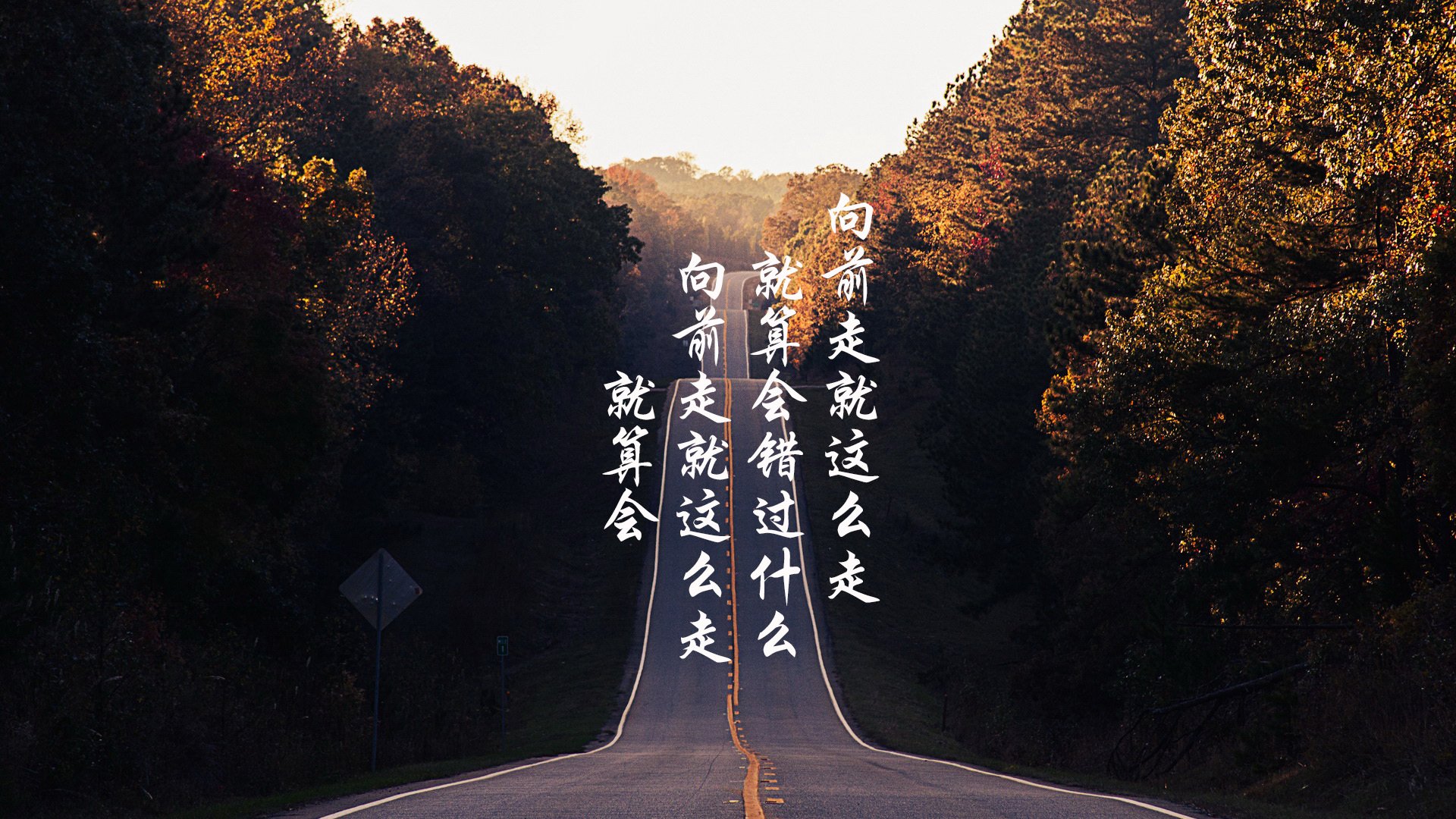 全国高校篮球排行榜权威发布,激励青年学子运动热情,全国高校篮球排名