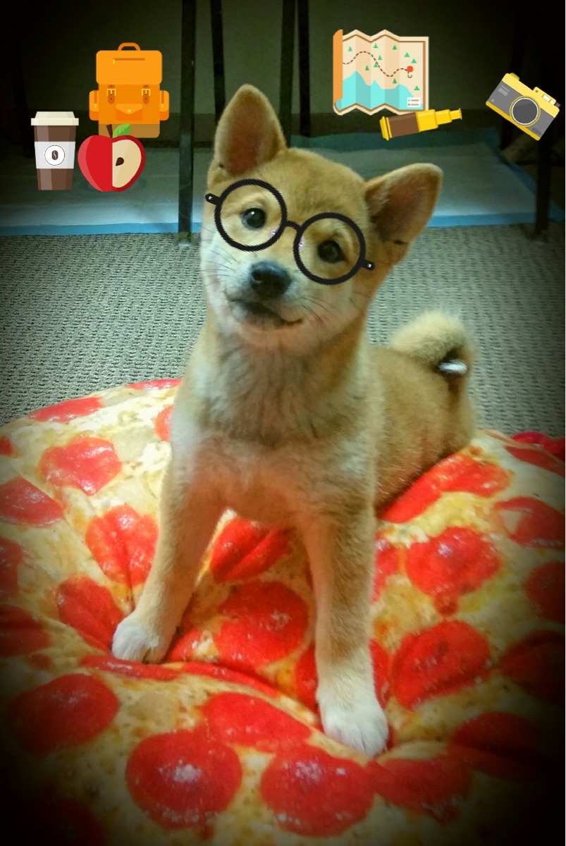 开云kaiyun-德国女子49公斤级举重选手在决赛中获得第八名，德国举重小将