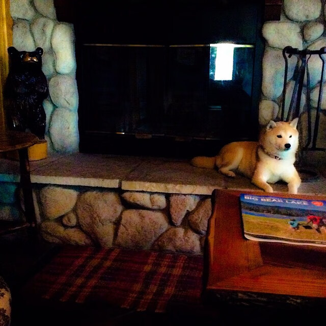 意甲激烈对抗:尤文图斯战平AC米兰,榜首天平再摇晃,尤文图斯踢意乙