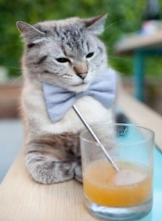 炉石传说“王者之巅”全国挑战赛盛大开启，策略对决不断，炉石传说比赛2020视频