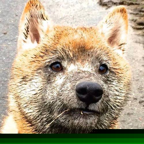 KAIYUNAPP-英雄联盟 全球赛事激烈角逐，2021英雄联盟全球赛事