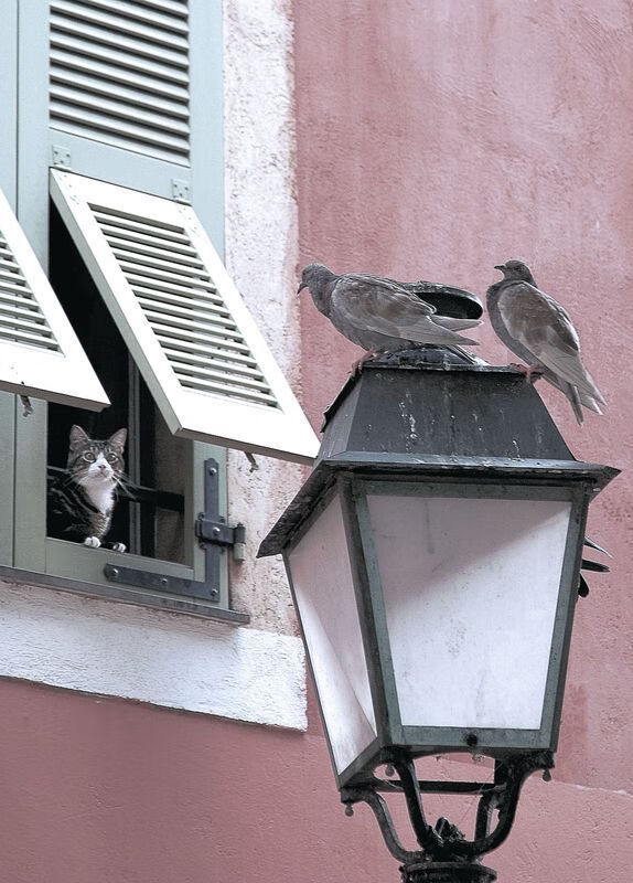 高端赛事频繁举办，国际足球影响力逐步增强，国际足球俱乐部最新排名