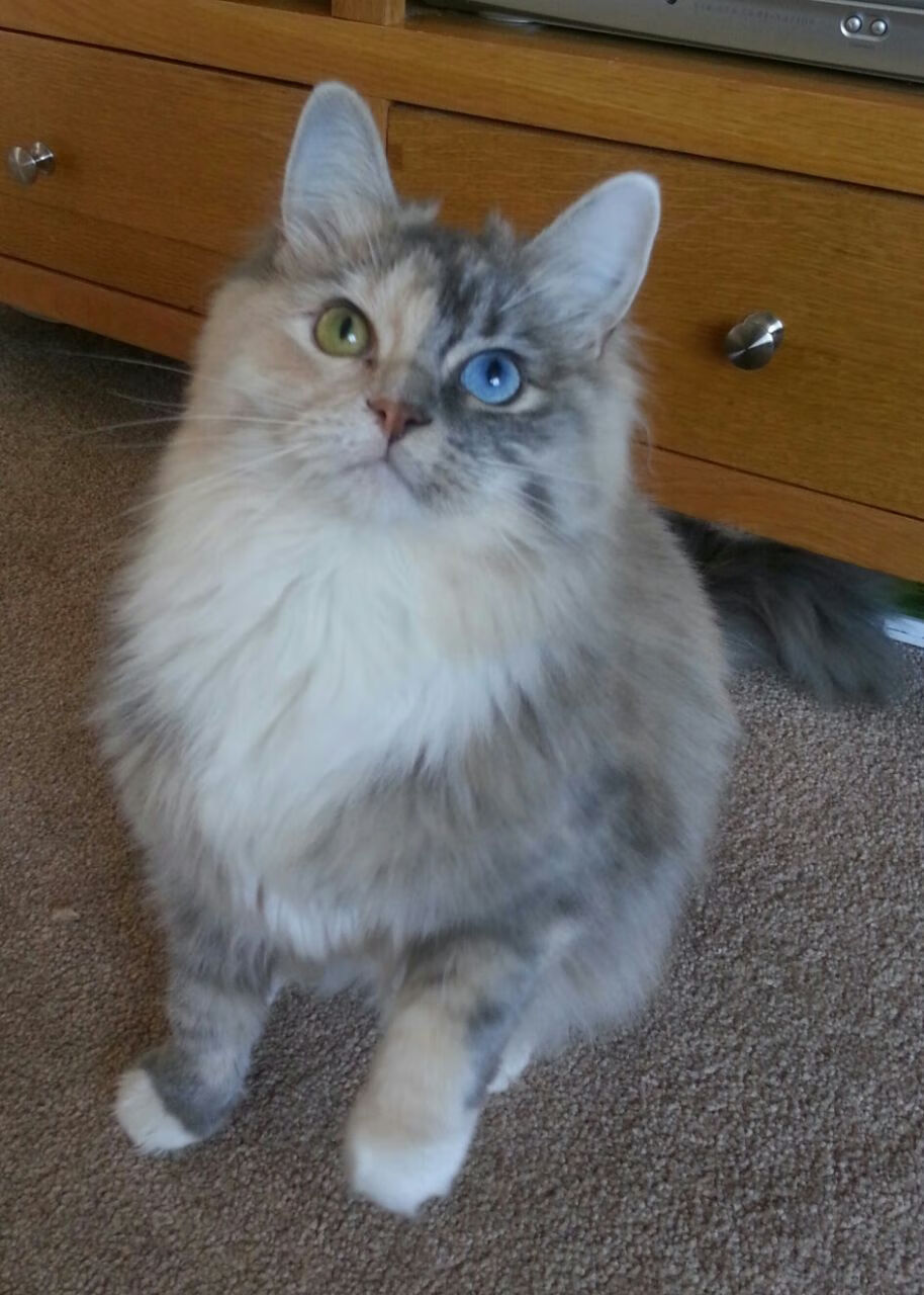 国足再败,我们无话可说,国足终于赢球了! 国足4