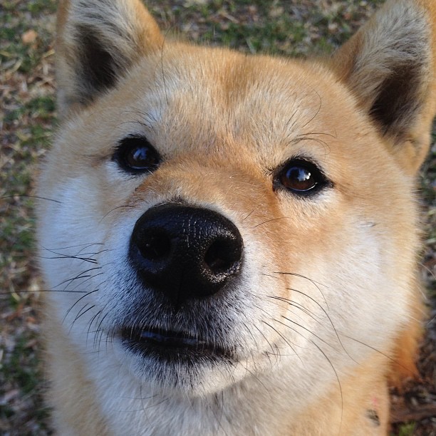 沃特福德是否已逐渐形成团队默契,沃特福德联
