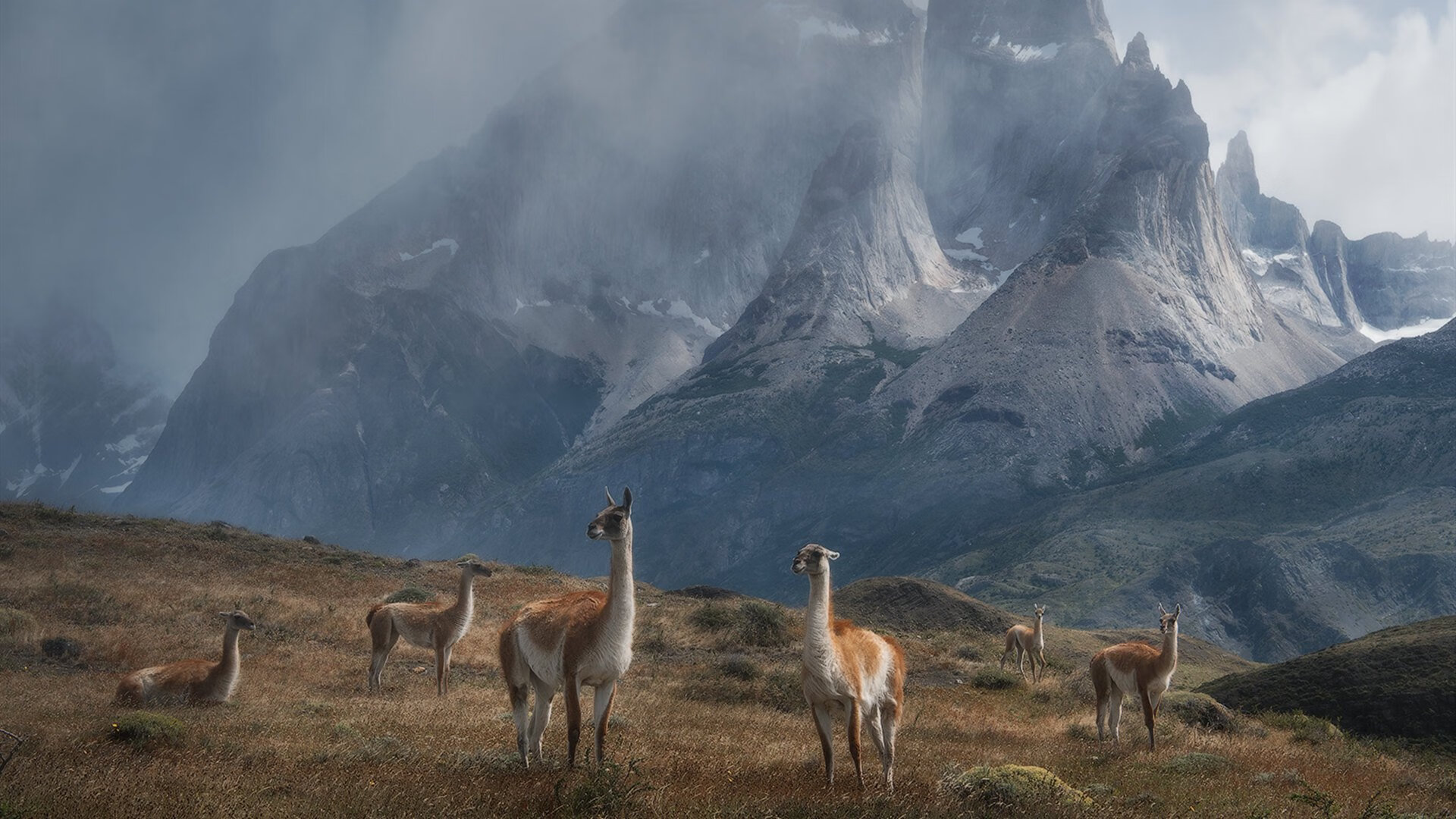 开云·体育官网-河北队在最新一场比赛中获得令人惊讶的胜利，河北队员