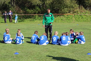 开云网站-中国篮球教练员战术创新能力培养机制，篮球训练教练简介