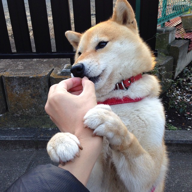 篮球运动员比赛数据智能采集及分析系统,篮球比赛技术数据统计表