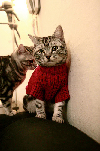 东亚杯中国足球战平 球迷希望加强磨合,东亚杯国足大名单