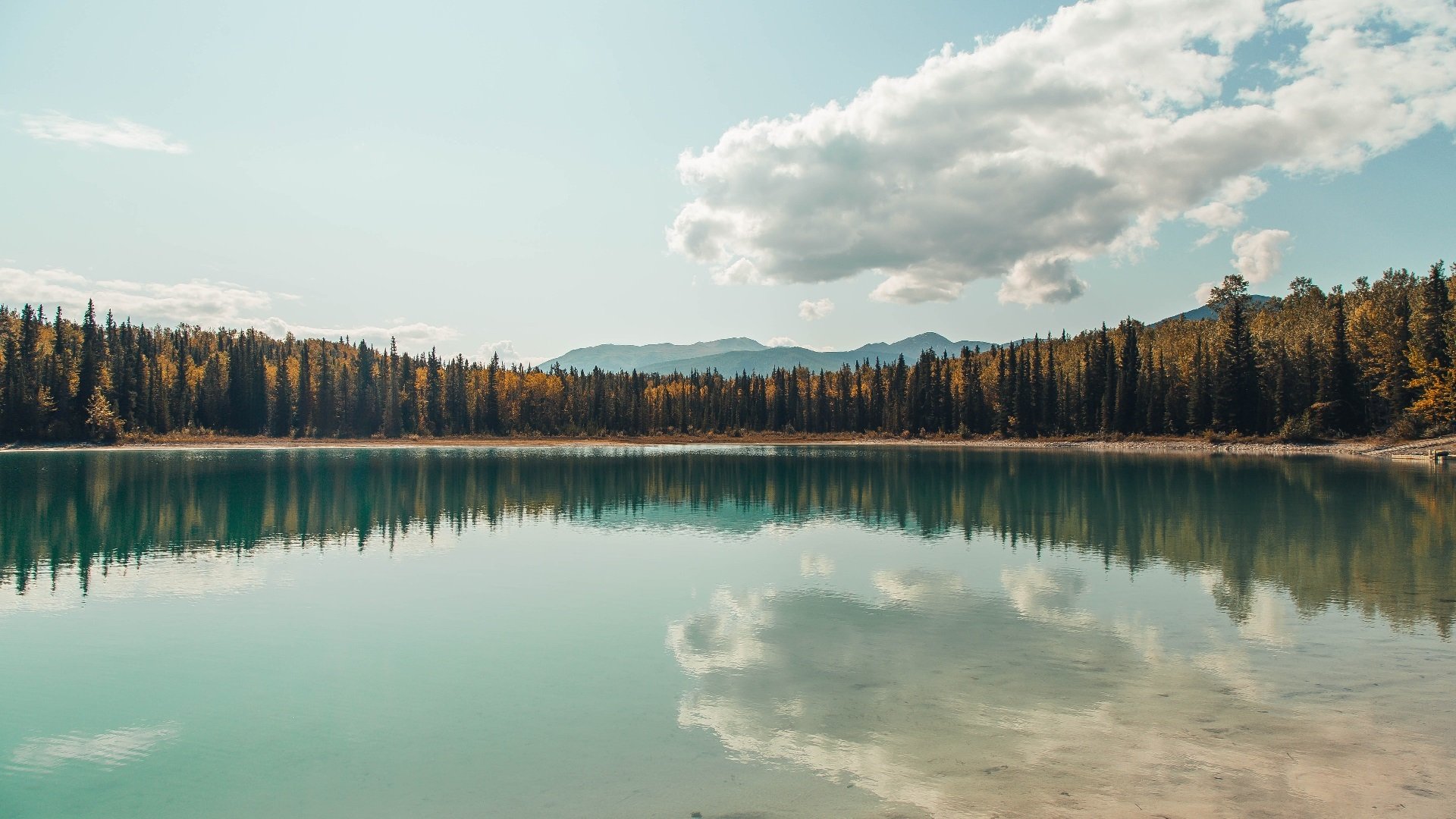 中国香港队在团体赛制中的表现:战术布局与队员配合解析,香港队再添一枚金牌