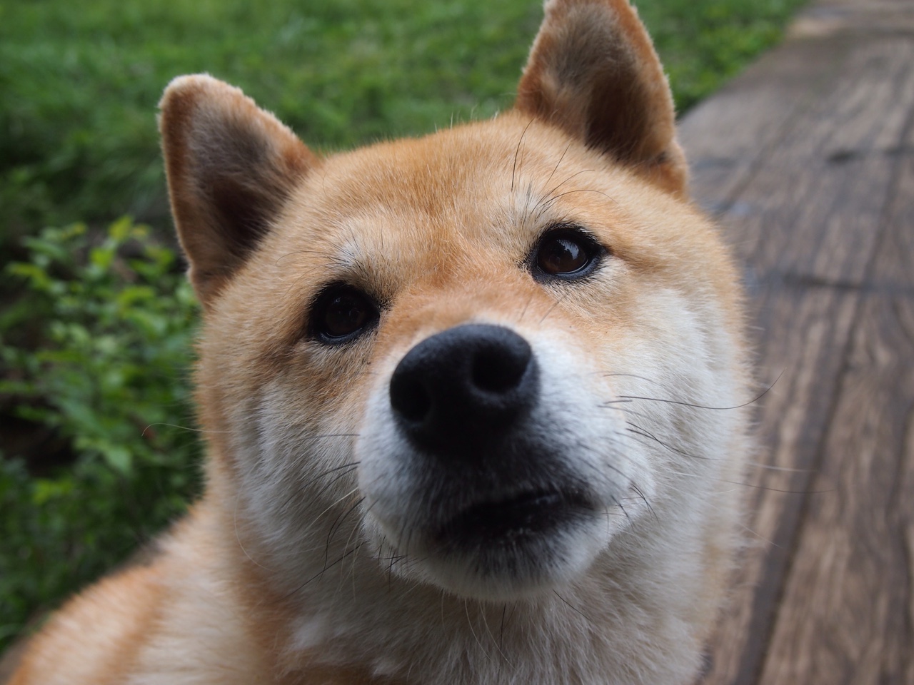 女子自由泳平均划频数据公开,女子自由泳排名