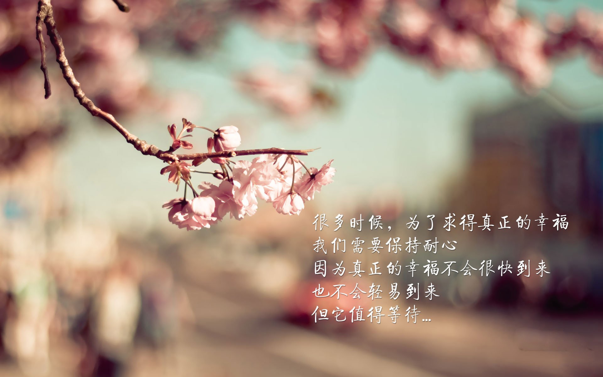 开云官网-体育新闻中心数据分析趋势，国内体育新闻报道