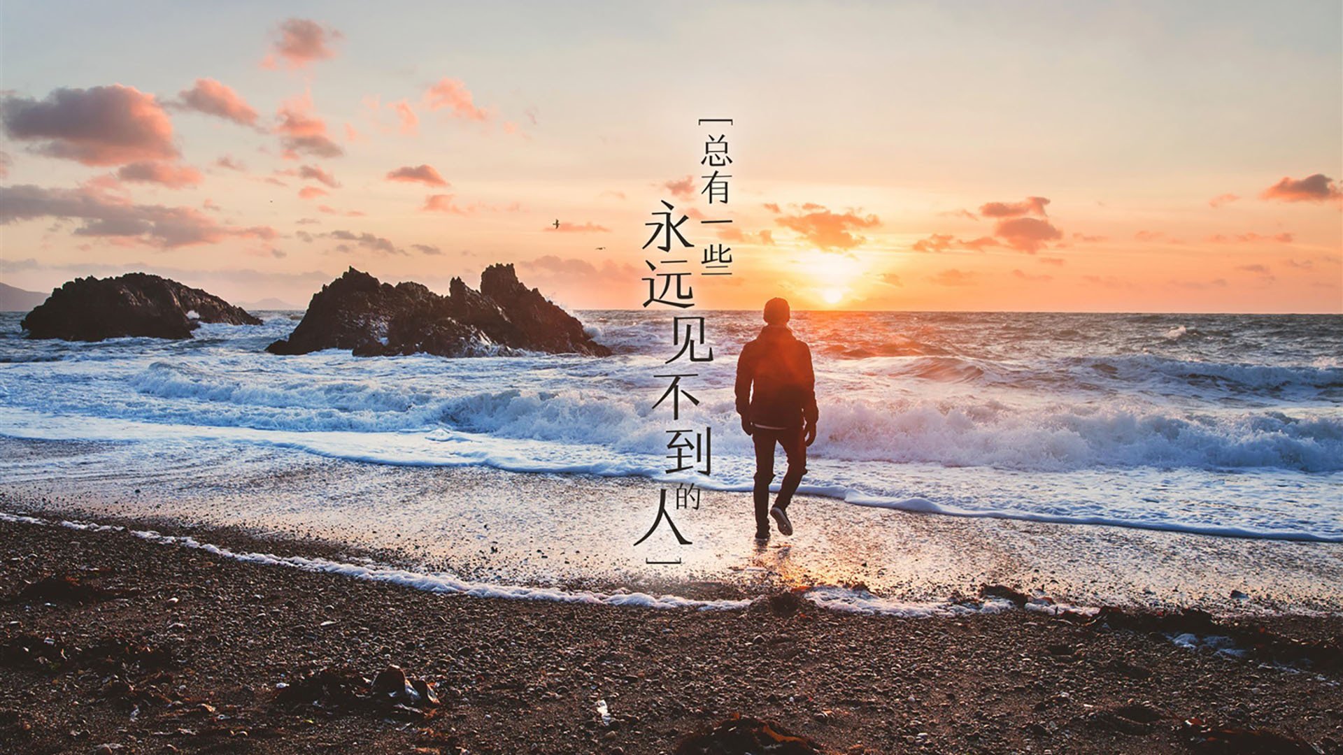 国际足球裁判引入AI辅助系统,裁判决策变得更加精准,国际足球裁判员