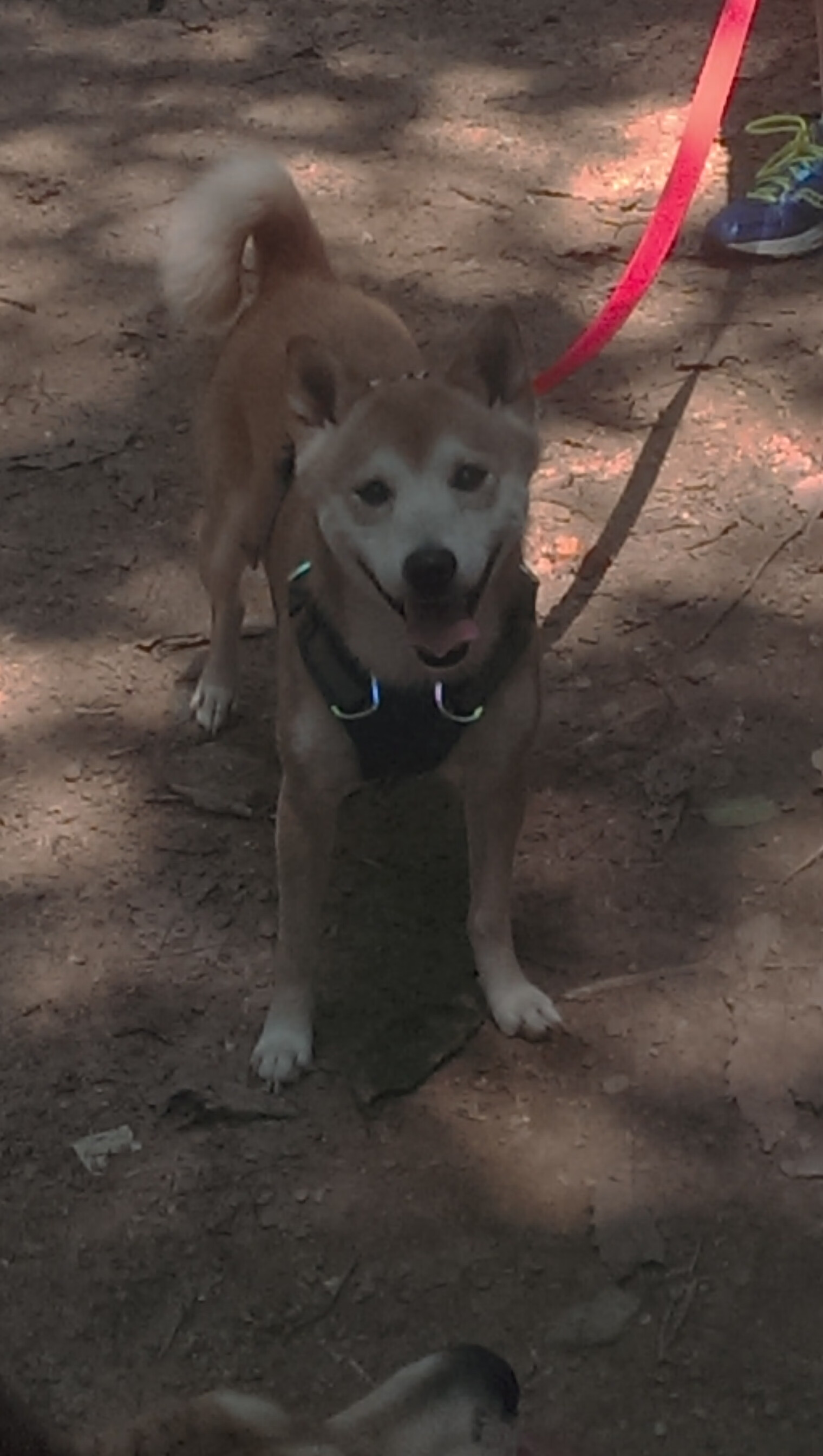 王楚钦直播分享比赛心路历程,王楚钦19_0