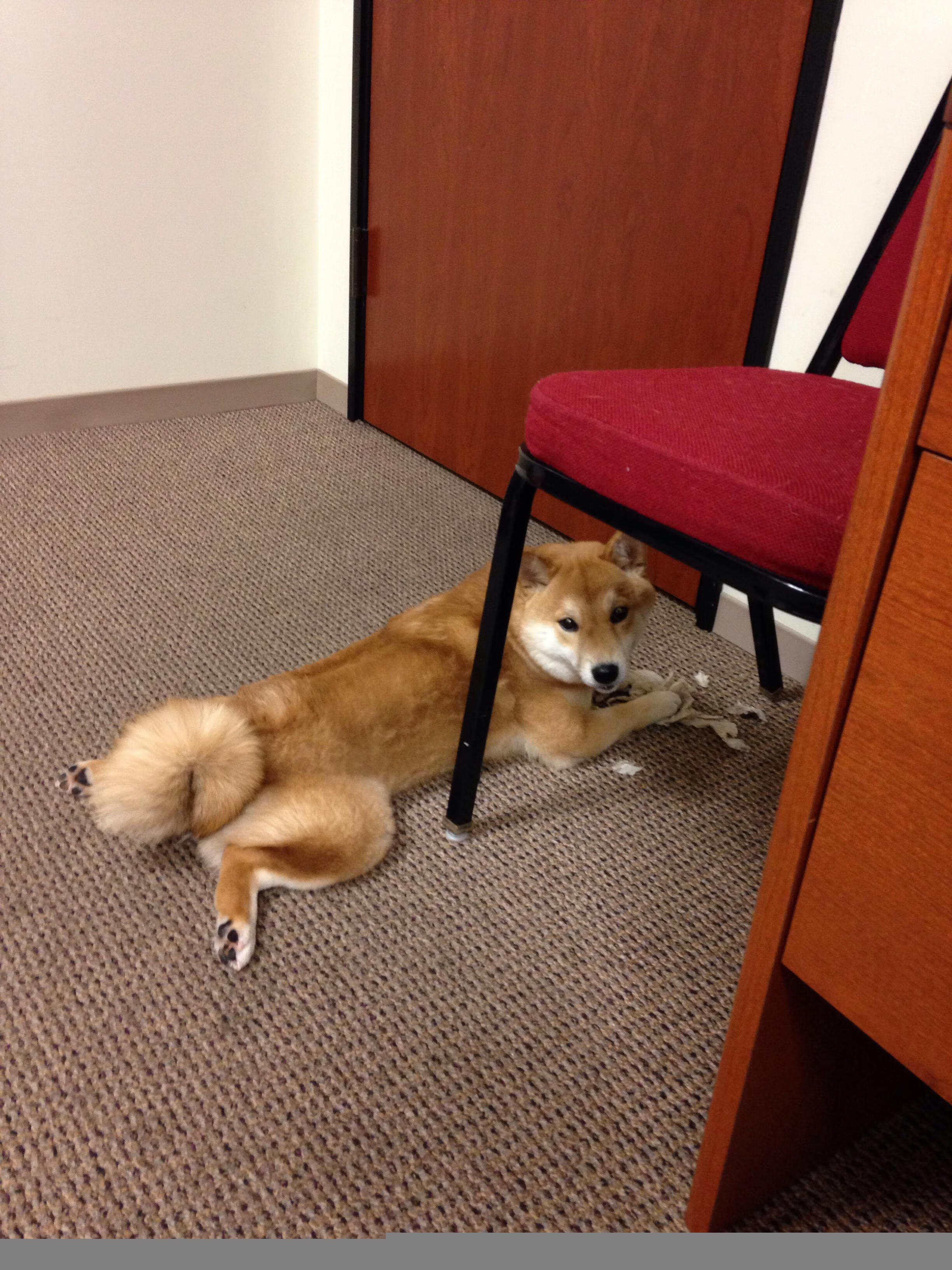 球迷城市间友好赛推广活动,跨国交流更紧密