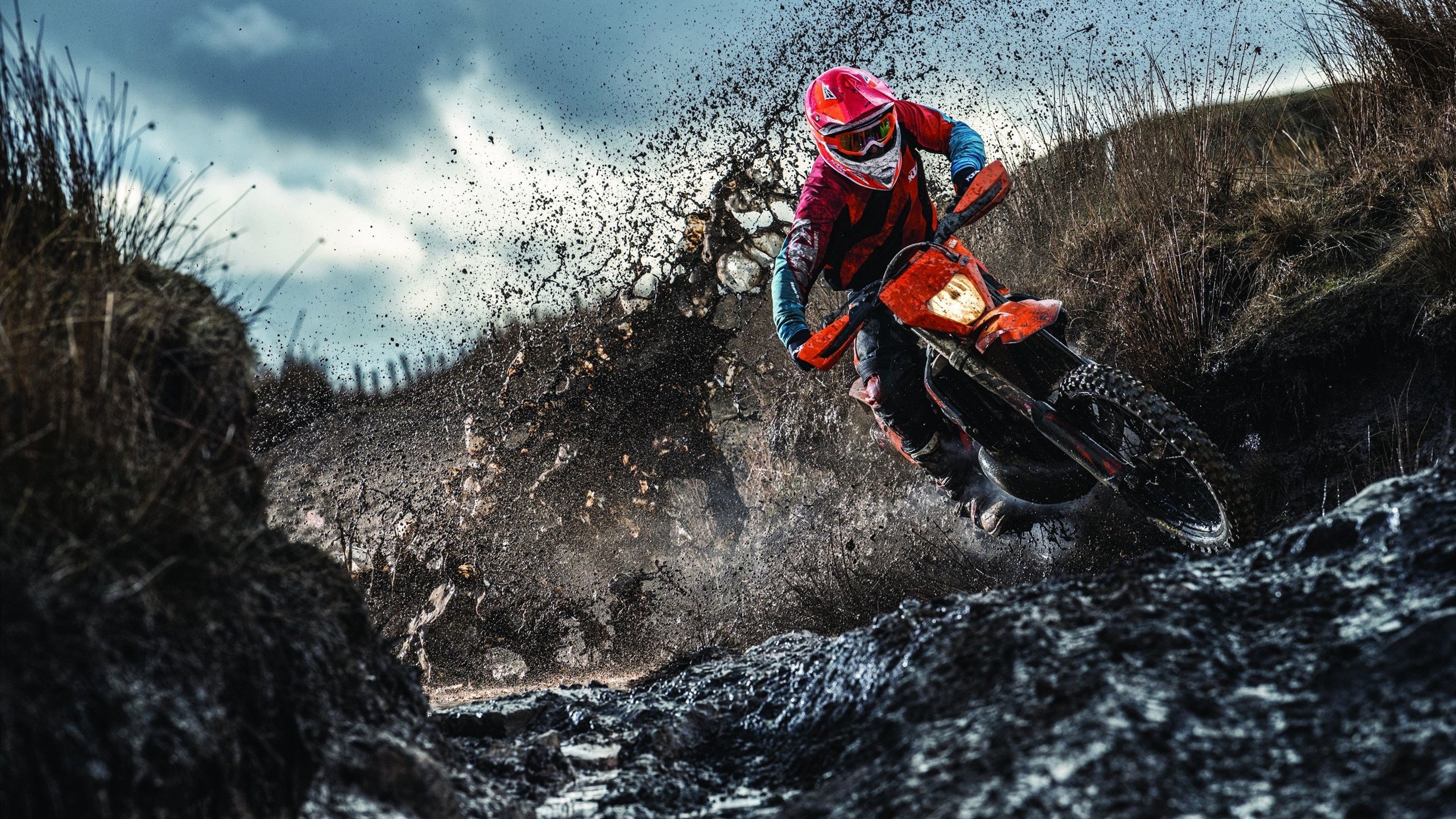 出发及转身速度提升显著影响成绩